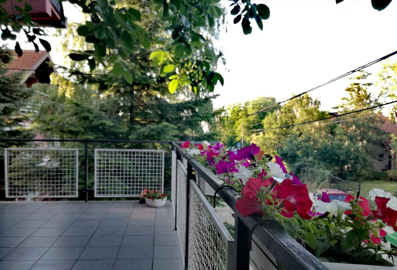 Maslina Rooms Смедерево Екстериор снимка