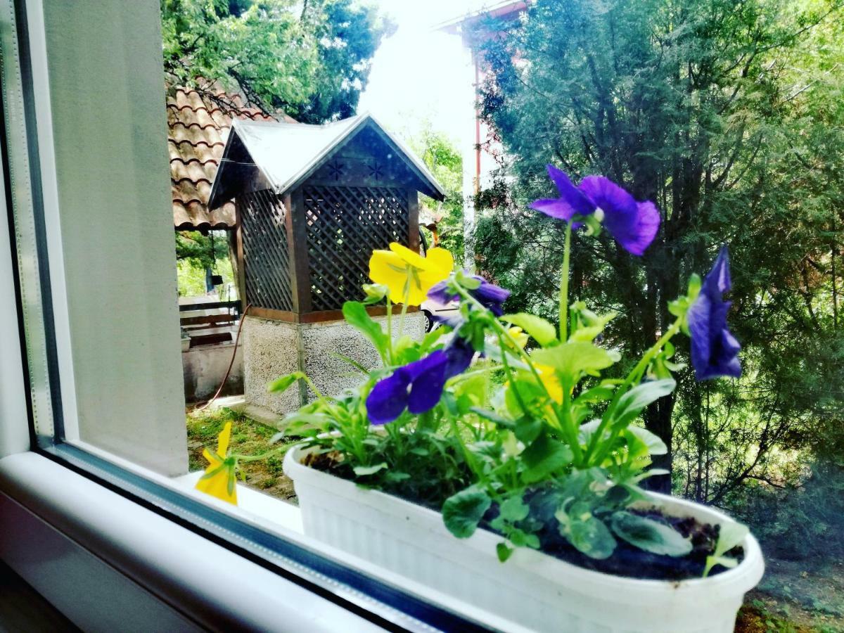 Maslina Rooms Смедерево Екстериор снимка